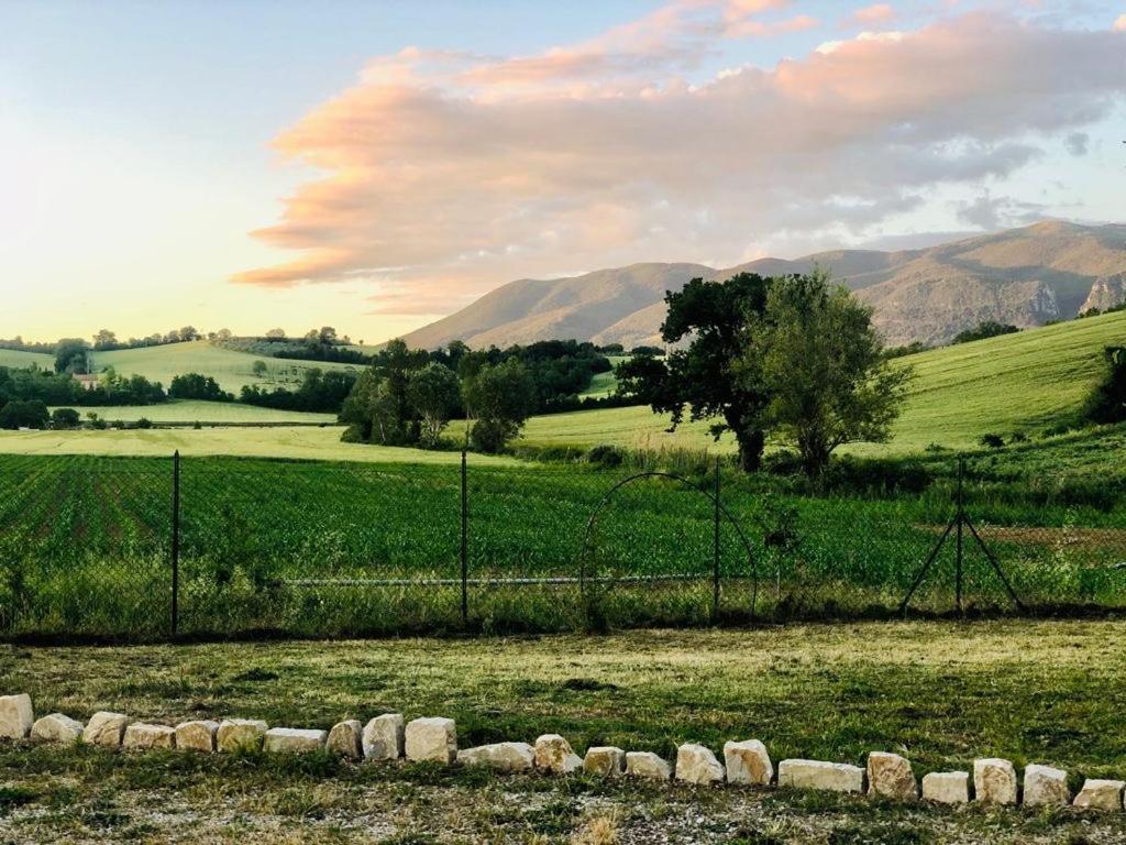 Casale Viridi - Nel Fresco Delle Colline Umbre Βίλα Νάρνη Εξωτερικό φωτογραφία