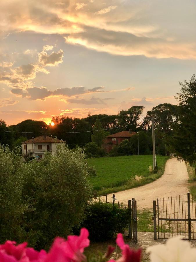Casale Viridi - Nel Fresco Delle Colline Umbre Βίλα Νάρνη Εξωτερικό φωτογραφία