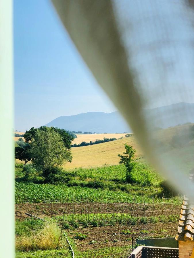 Casale Viridi - Nel Fresco Delle Colline Umbre Βίλα Νάρνη Εξωτερικό φωτογραφία